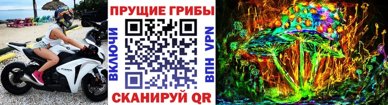 Псилоцибиновые грибы Psilocybe  где купить наркотик  Дубна 